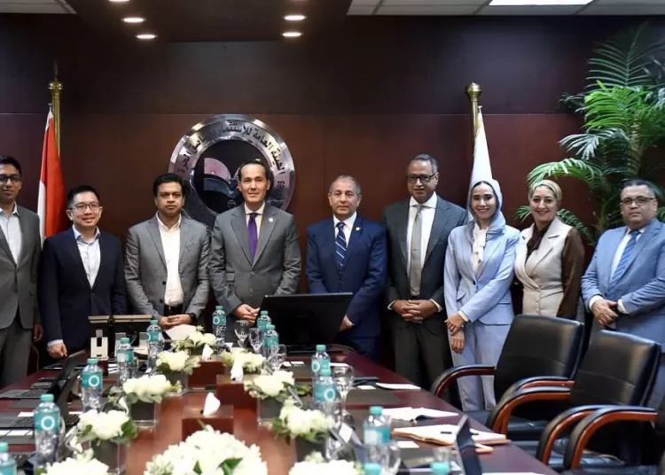 Egypt, Singapore promote investment ties 11 - Egyptian Gazette