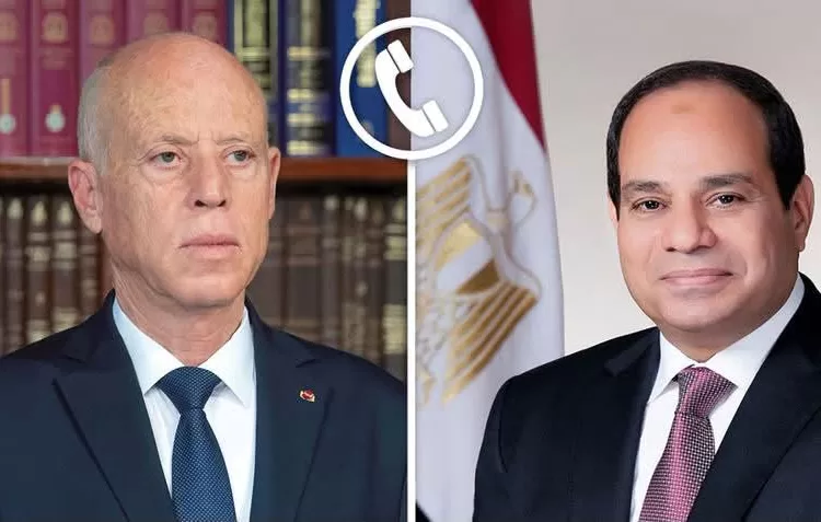 Sisi, Tunisia's Saied discuss ties, regional developments 11 - Egyptian Gazette