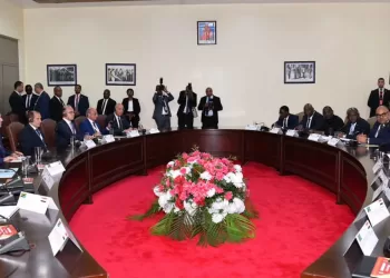 Sisi, Hassan urge stronger private sector role to advance Egypt-Tanzania investment ties