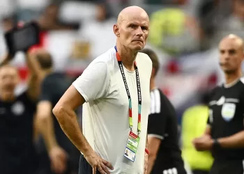 Norway coach blames camera cable for England goal