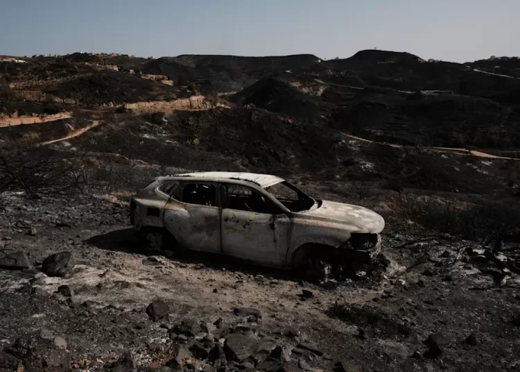 Spanish firefighters turn to offensive against deadly Almeria blaze 12 - Egyptian Gazette Spanish firefighters turn to offensive against deadly Almeria blaze 11 - Egyptian Gazette