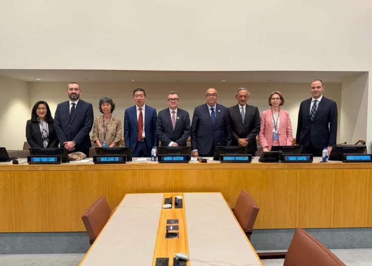 Egypt calls for stronger global cooperation to accelerate sustainable development 12 - Egyptian Gazette Egypt calls for stronger global cooperation to accelerate sustainable development 11 - Egyptian Gazette