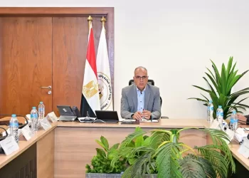Egypt reviews Nile inflows, stresses High Dam remains cornerstone of water security