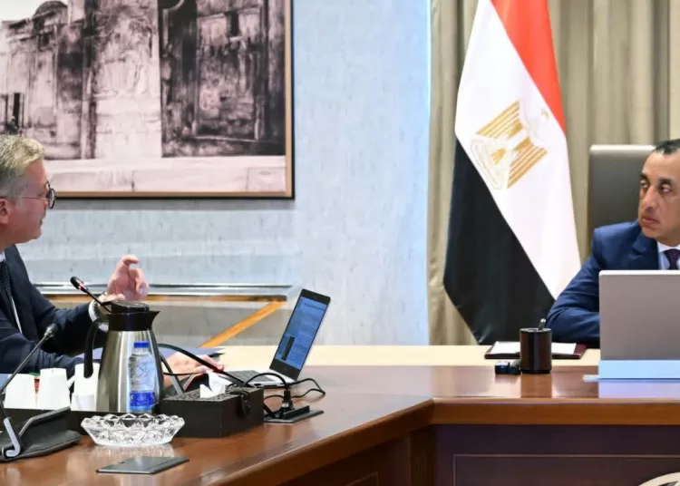 PM meets petroleum min. to review energy sector priorities 13 - Egyptian Gazette