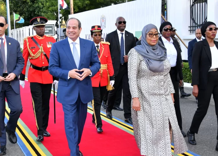 President Sisi back home after Tanzania visit 11 - Egyptian Gazette President Sisi