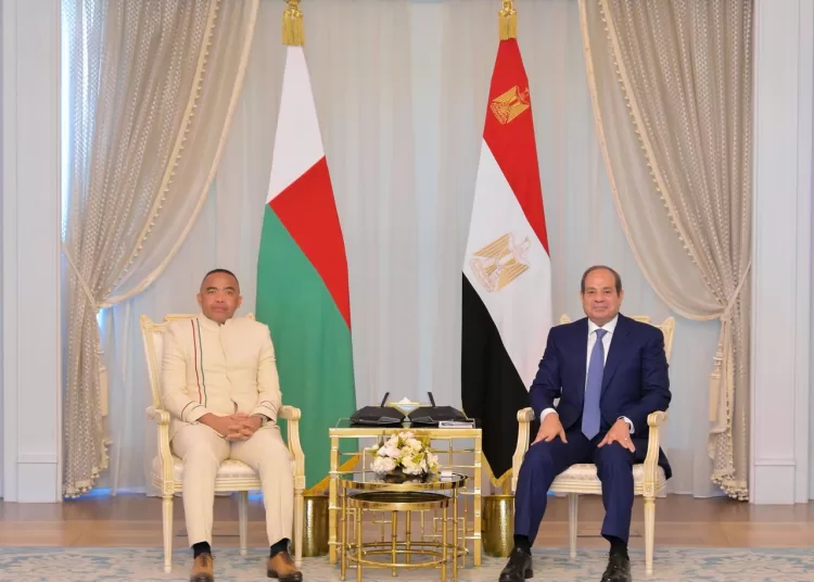 Egypt, Madagascar leaders discuss bilateral ties, regional issues 11 - Egyptian Gazette