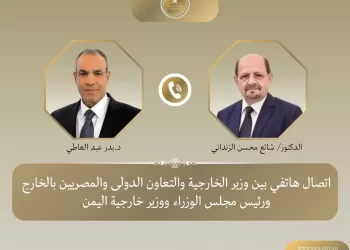 Egypt,Yemen FMs discuss regional developments