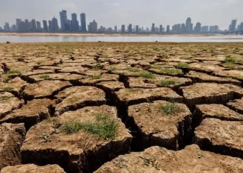 UN: Strong El Niño to develop rapidly