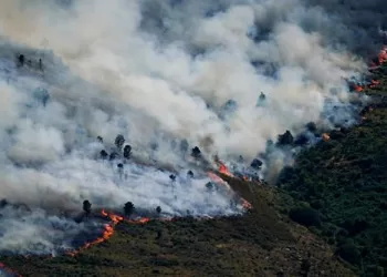 Spain declares emergency as wildfires evacuate thousands