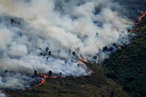 Spain declares emergency as wildfires evacuate thousands 13 - Egyptian Gazette Spain declares emergency as wildfires evacuate thousands 12 - Egyptian Gazette