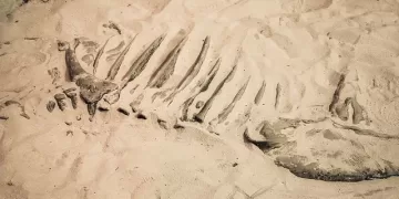210-million-year-old dinosaur reveals lost world 1 - Egyptian Gazette 210-million-year-old dinosaur reveals lost world