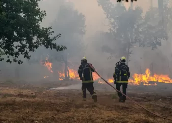 Wildfire leads to evacuations in some suburbs of France