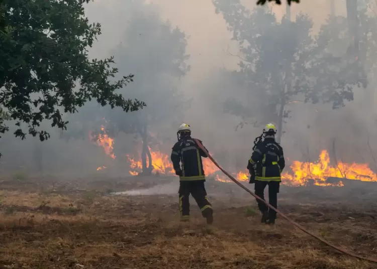 Wildfire leads to evacuations in some suburbs of France 12 - Egyptian Gazette Wildfire leads to evacuations in some suburbs of France 11 - Egyptian Gazette