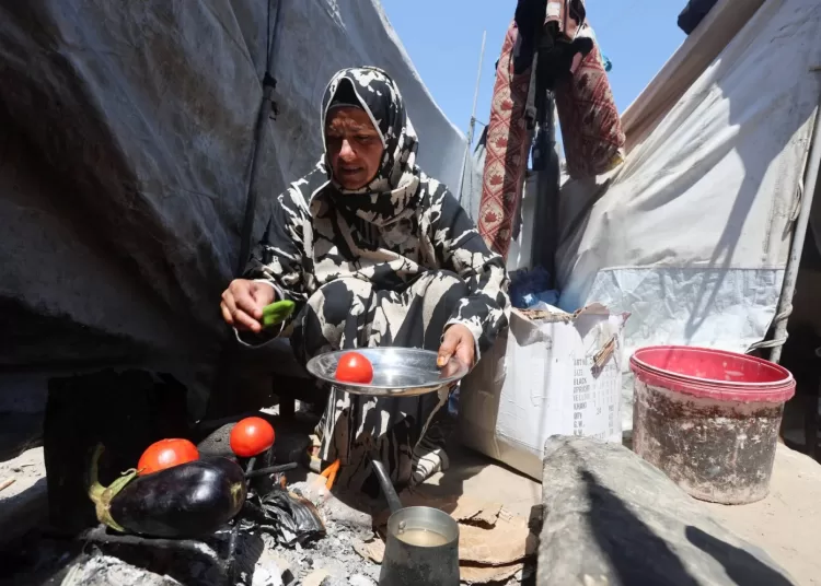In Gaza's tent camps, cigarette lighter a lifeline 11 - Egyptian Gazette