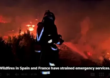 Wildfires force evacuations outside Bordeaux as Spanish blazes cause first death