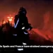 Wildfires force evacuations outside Bordeaux as Spanish blazes cause first death