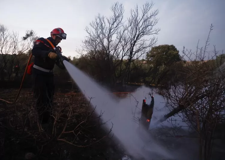 Firefighters battle blazes in S.France 12 - Egyptian Gazette