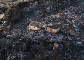 Hundreds of firefighters battle wildfire in Spain