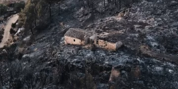 Hundreds of firefighters battle wildfire in Spain