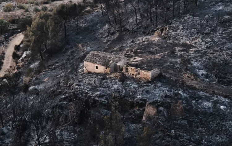 Hundreds of firefighters battle wildfire in Spain 12 - Egyptian Gazette