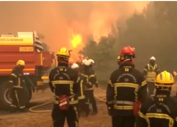Wildfires threaten Bordeaux as France, Spain battle blazes