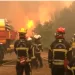 Wildfires threaten Bordeaux as France, Spain battle blazes 2 - Egyptian Gazette Wildfires threaten Bordeaux as France, Spain battle blazes