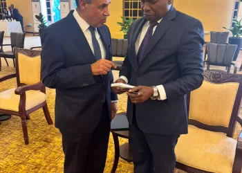 Egypt, Kenya discuss boosting strategic partnership, regional coordination