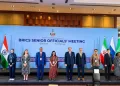 Egypt showcases healthcare reforms at BRICS Health meeting