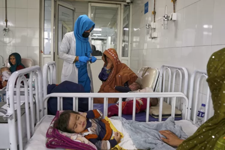 Afghanistan’s child deaths are rising as food distributions face cuts, UN says 11 - Egyptian Gazette