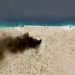 Libya: Attack on Zawiya substation causes major outage