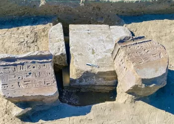 Egyptian dig sheds new light on ancient Horus Military Road, lost city