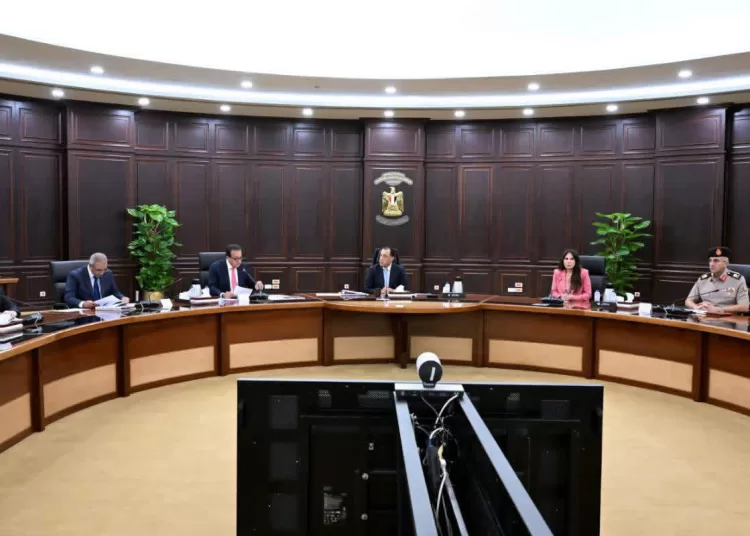 PM reviews proposal for two integrated medical cities 11 - Egyptian Gazette