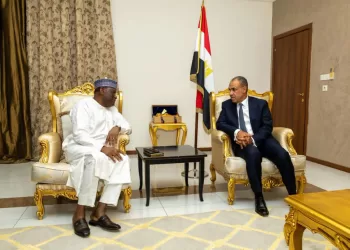 Egypt’s FM meets CEN‑SAD chief in N’Djamena 11 - Egyptian Gazette Egypt’s FM meets CEN‑SAD chief in N’Djamena