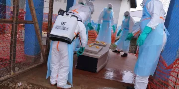 Ebola