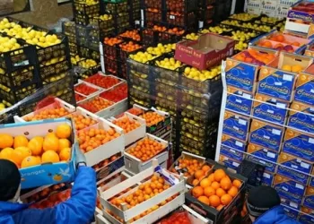 Egypt’s agricultural exports reach 6.8m tonnes