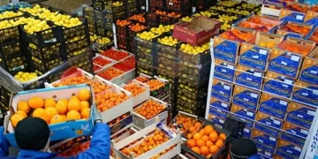 Egypt’s agricultural exports reach 6.8m tonnes