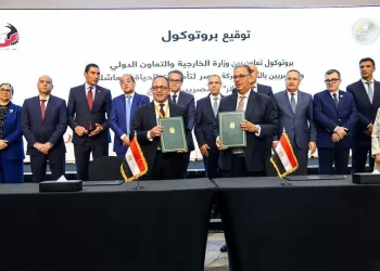 Electronic bill payment service launched for Egyptians abroad