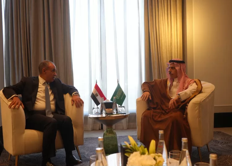Egypt, S. Arabia review Red Sea, Sudan, Yemen developments 13 - Egyptian Gazette Egypt, S. Arabia review Red Sea, Sudan, Yemen developments 12 - Egyptian Gazette