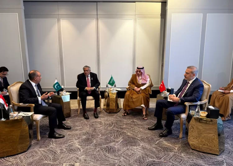 Egypt, S. Arabia, Türkiye, Pakistan review regional security 13 - Egyptian Gazette Egypt, S. Arabia, Türkiye, Pakistan review regional security 12 - Egyptian Gazette