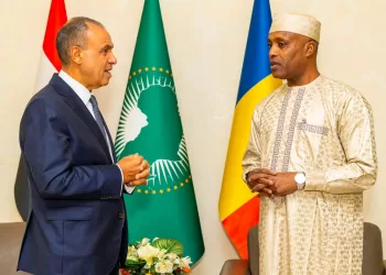 Egypt, Chad seek stronger economic and security co-operation