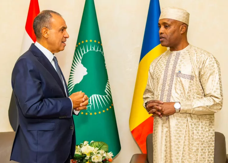 Egypt, Chad seek stronger economic and security co-operation 11 - Egyptian Gazette