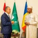 Egypt, Chad seek stronger economic and security co-operation