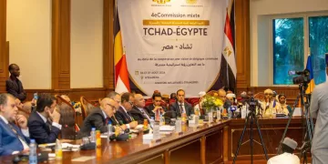 Egypt, Chad strengthen strategic ties at joint committee