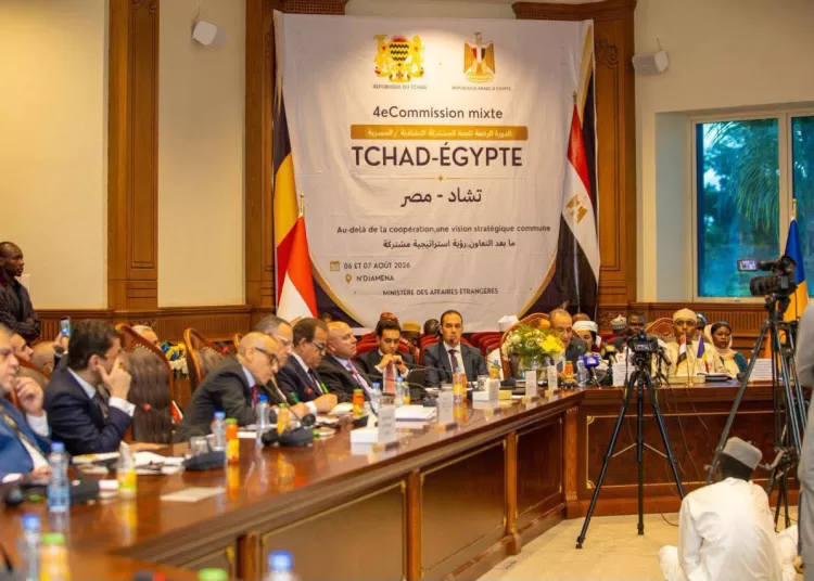 Egypt, Chad strengthen strategic ties at joint committee 11 - Egyptian Gazette