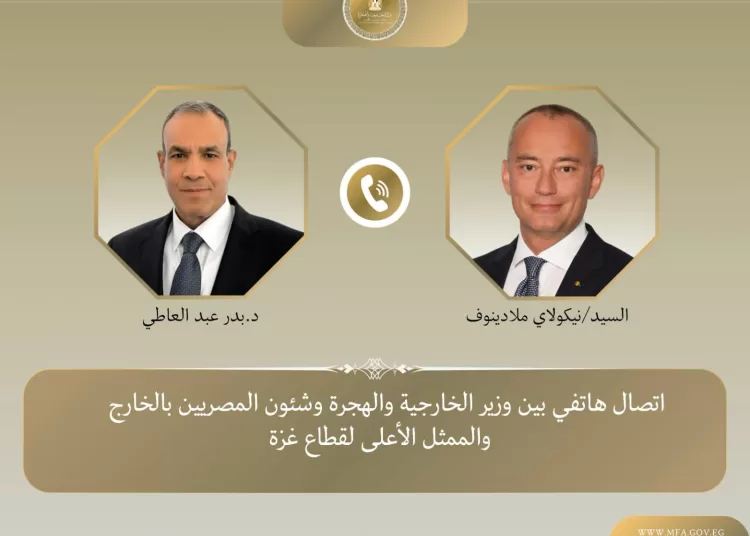 Egypt FM, UN special coordinator mull Gaza stabilisation efforts 11 - Egyptian Gazette