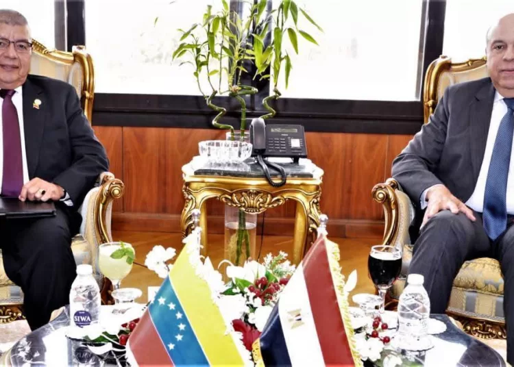 Egypt, Venezuela seek to boost air connectivity, tourism 12 - Egyptian Gazette