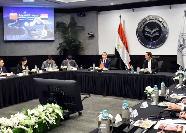 GAFI: 3,366 Chinese companies operate across key Egyptian sectors 10 - Egyptian Gazette