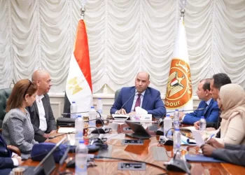Egypt to launch unified digital system for foreign work permits