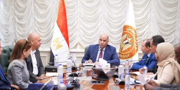 Egypt to launch unified digital system for foreign work permits