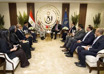 Egypt, Türkiye deepen medical co-operation